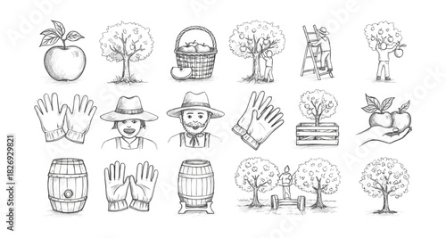 Hand drawn orchard elements: farmers harvesting apples with trees, gloves, and tools