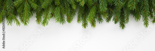 Green natural fresh fir branches on light gray table background. Closeup. Christmas decoration. Wide banner. Empty place for text. Top down view.