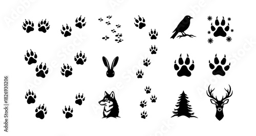 Black silhouette animal tracks and wildlife icons collection