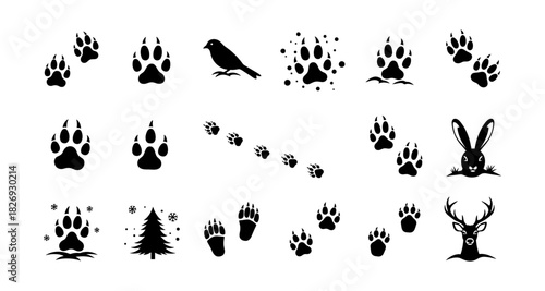 Animal silhouettes and paw prints with seasonal icons