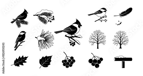 Monochrome winter birds with nature elements and bare trees