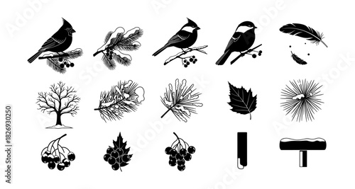 Winter birds and nature elements in black silhouette style