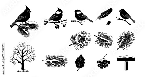 Minimalist winter birds and nature elements in black and white