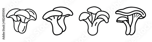 Drawing of edible mushrooms honey fungus armillaria mellea group vector illustration outline art