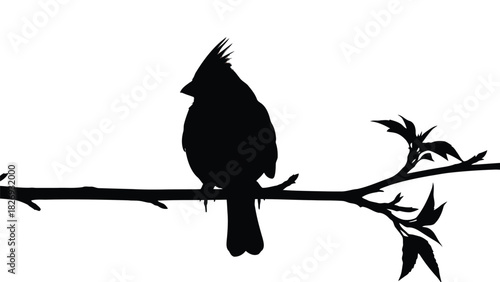 Silhouette of a crested songbird, likely a cardinal, perched on a thin tree branch with small leaves, clean vector art graphic design, isolated on white background