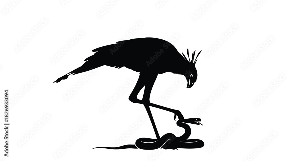 Naklejka premium Black silhouette of a crested secretary bird hunting a coiled snake, wildlife predator concept, flat vector illustration, isolated on white background