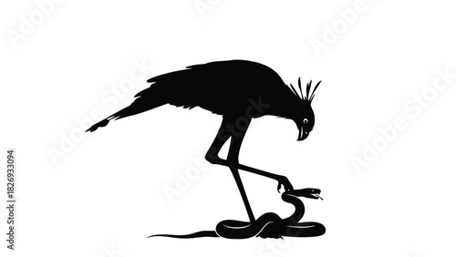 Black silhouette of a crested secretary bird hunting a coiled snake, wildlife predator concept, flat vector illustration, isolated on white background