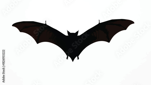 Black bat silhouette with pointed ears flying with wide spread wings for Halloween, vector illustration, flat style design, isolated on white background