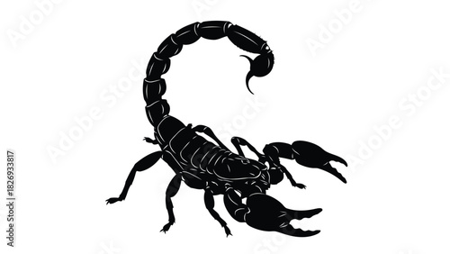 Black Scorpion with Raised Tail Silhouette Illustration