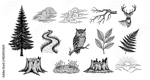 Nature elements collection featuring owl, deer, trees, clouds, and more in black and white sketch style