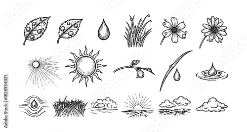 Hand-drawn nature elements: leaves, sun, clouds, flowers, and more