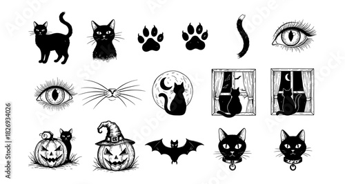 Halloween cat elements set: black cats, pumpkins, and spooky symbols