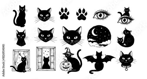 Black cat silhouette collection: halloween mystical designs and elements