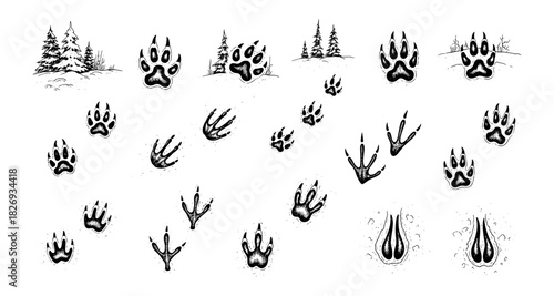 Animal tracks in snowy landscape with trees and nature elements