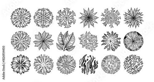 Hand drawn abstract floral and leaf patterns in black and white