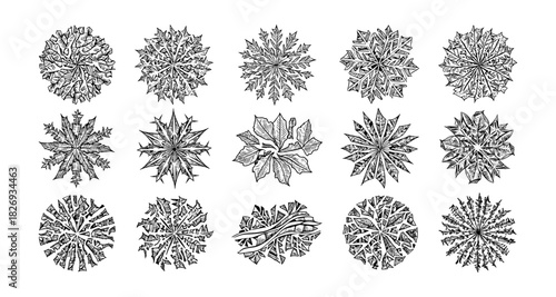 Intricate black and white leaf mandalas in various geometric patterns