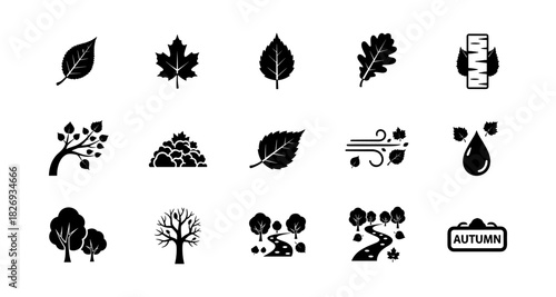Silhouette nature icons: trees, leaves, and autumn elements collection