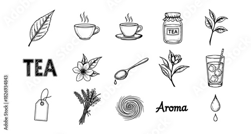 Hand drawn tea elements with herbal leaves and cup designs