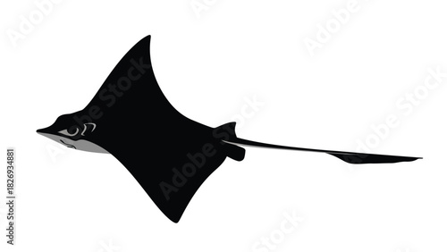 Sleek black stingray swimming gracefully with long tail, marine wildlife, ocean creature, underwater animal, sea life, flat vector design, sticker design, logo design, isolated on white background