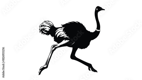 Dynamic running African ostrich bird black silhouette isolated on white background