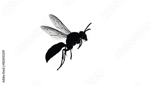 Wasp or hornet flying insect black silhouette vector isolated on white background