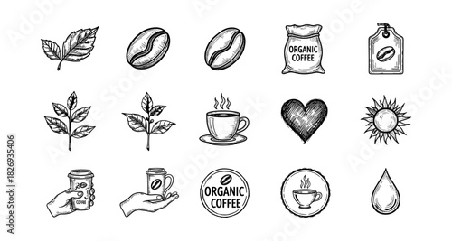 Hand drawn coffee elements: organic icons, beans, cups, and leaves
