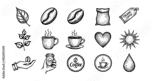 Vintage coffee elements collection with organic icons and hand drawn style
