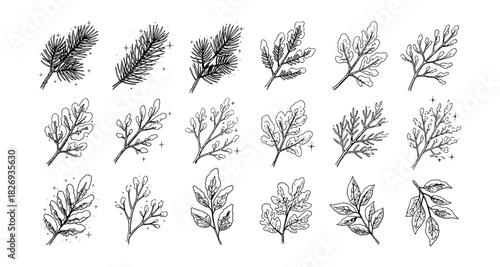 Hand-drawn botanical elements: intricate leaf and branch designs in black and white