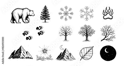 Nature and wildlife in detailed ink drawings of bears, trees, and mountains