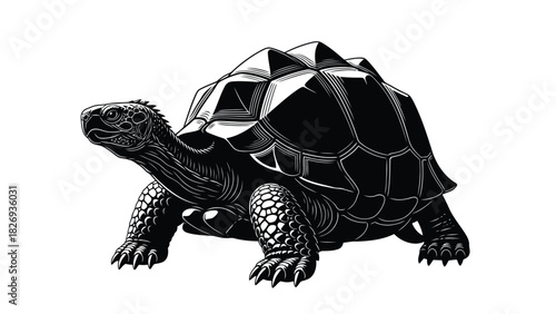 Detailed black turtle with patterned shell walking forward, reptile with textured skin and sharp claws, wildlife illustration, vector art, flat style, sticker design, isolated on white background