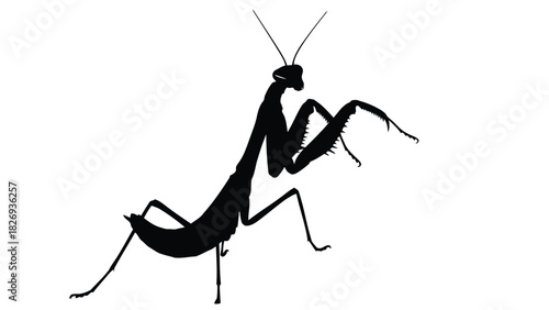 Silhouette of a praying mantis standing on four legs, with spiky forearms, and long antennae, insect vector, flat style, sticker design, vector art, isolated on white background