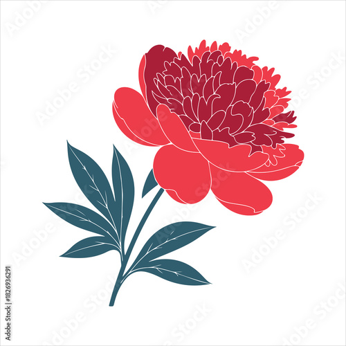 Peony Flower Illustration – Elegant Red Peony Vector Design
