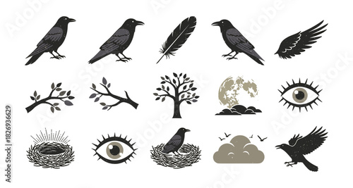 Raven silhouette collection with nature elements and celtic symbols