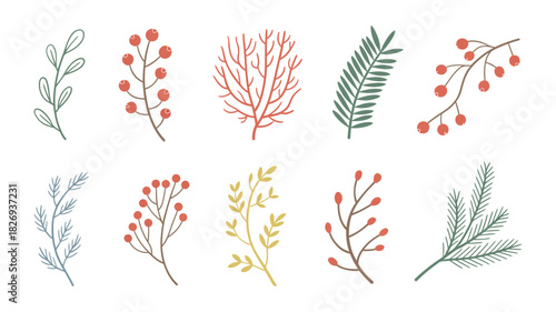 Hand drawn botanical branch, leaf, and berry vector illustration set. diverse collection of nature elements for autumn, winter, or festive designs.
