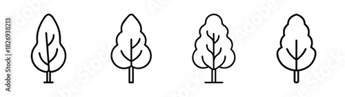 Drawing of four black and white cypress trees, line art illustration of mediterranean trees, tall trees