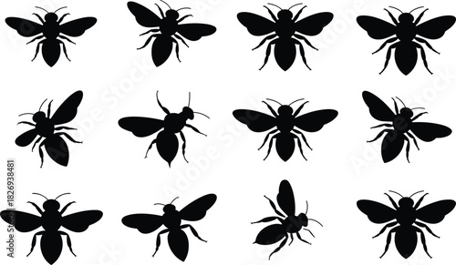 Black bee silhouettes, flying insects, honeybee icons, nature pollinators, insect vectors, isolated bee shapes, swarm collection, winged bugs, black insects