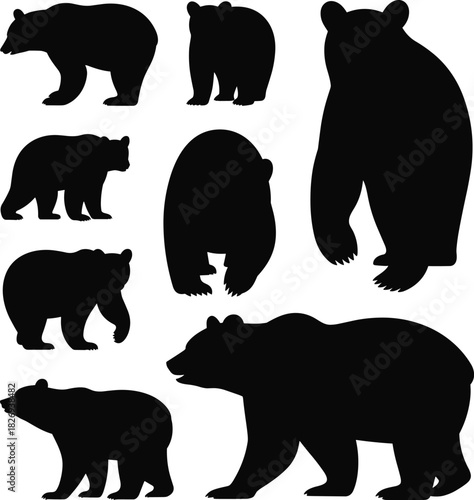 Black bear silhouettes set, different poses and angles, wild animal shapes, forest wildlife vector, nature mammal illustration collection