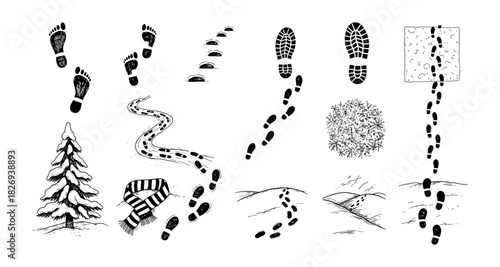 Assorted footprints in snow and mud across various landscapes