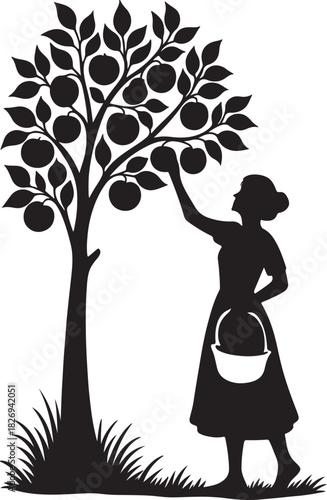 Silhouette of Woman Gathering Apples from Tree