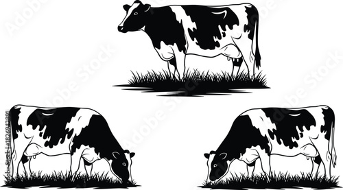 Cow silhouette set, grazing pose, standing cow, black and white vector, farm animal icon, nature graphic, livestock design