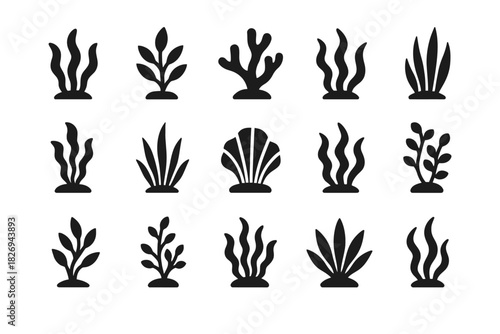Set of simple black silhouette seaweed and marine plant icons on white background