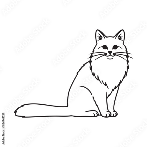 outline cat with a white background