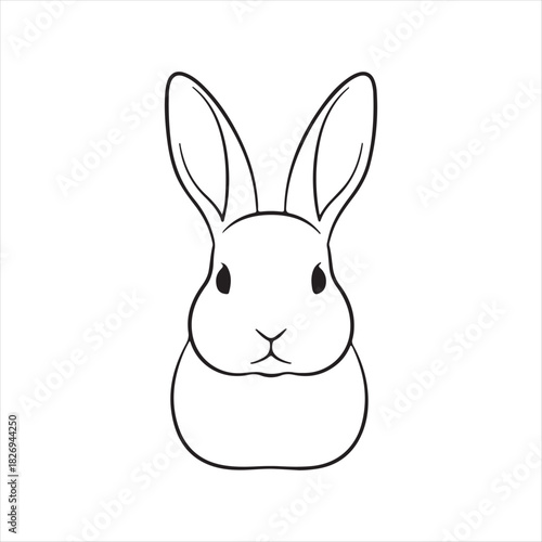 vector illustration of a rabbit