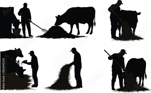 Farmer feeding cows with hay, livestock silhouettes, rural agriculture work, farm animal care, black vector illustration, village farming, daily labor concept