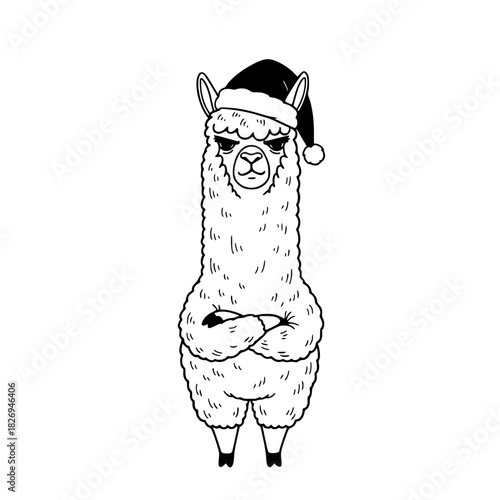 A grumpy llama dons a festive holiday hat, standing with arms crossed, exuding an attitude that’s both quirky and charming. vector illustration