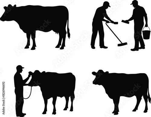 Dairy farming silhouettes with cow and farmer, milk can exchange, rural agriculture scene, black vector illustration, traditional livestock, pastoral design