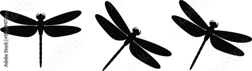 Dragonfly silhouette collection, flying insect vector set, black nature icons, summer bugs, decorative graphic design, wildlife clipart for prints