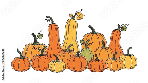 A colorful hand drawn collection of various pumpkins and gourds.