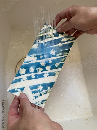 Blueprint in the making. Rinsing the exposed picture under cold water.