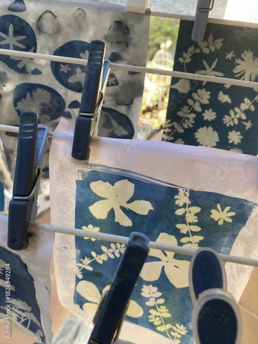 Cyanotype proces: After rinsing the prints in cold water, it will oxidize and the blue will deepen after a few minutes in the air. Let the prints dry.